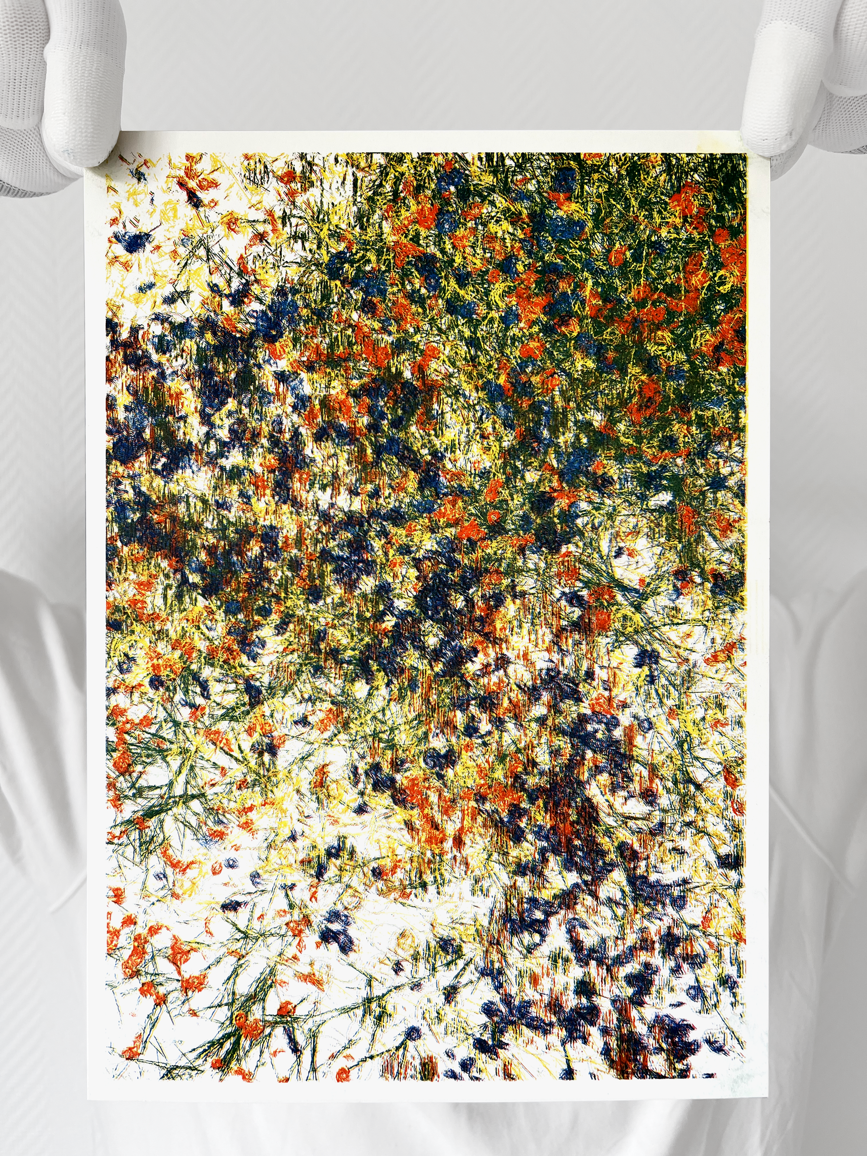 Limited Editions Portfolio