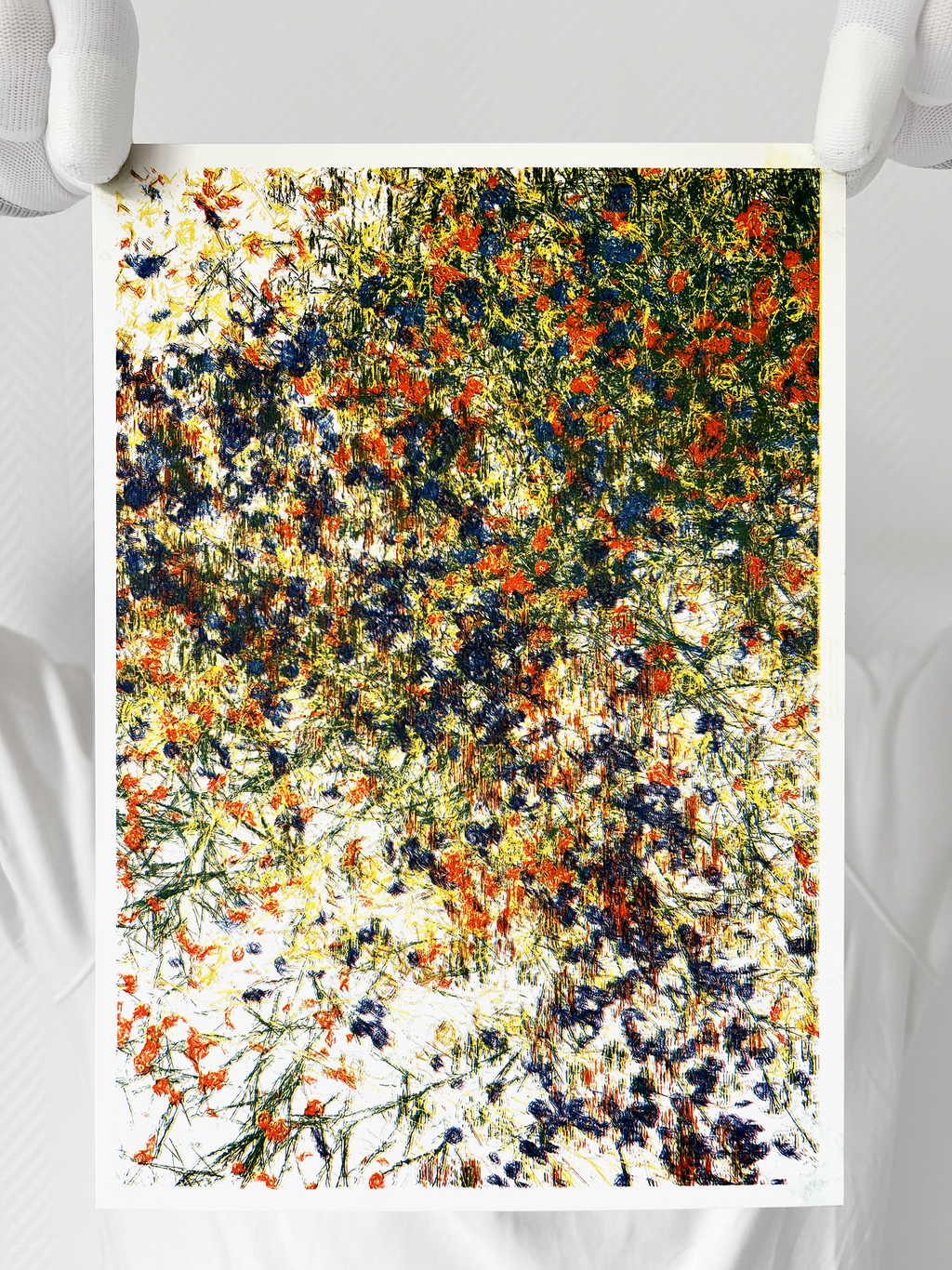 Limited Editions Portfolio